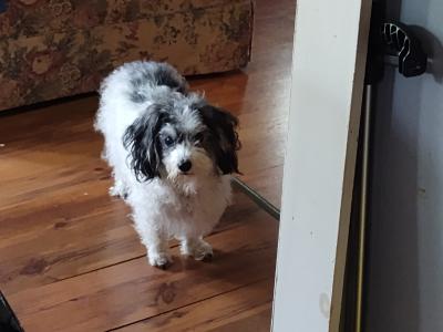 visit Molly's profile