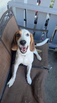 Visit Copper's profile